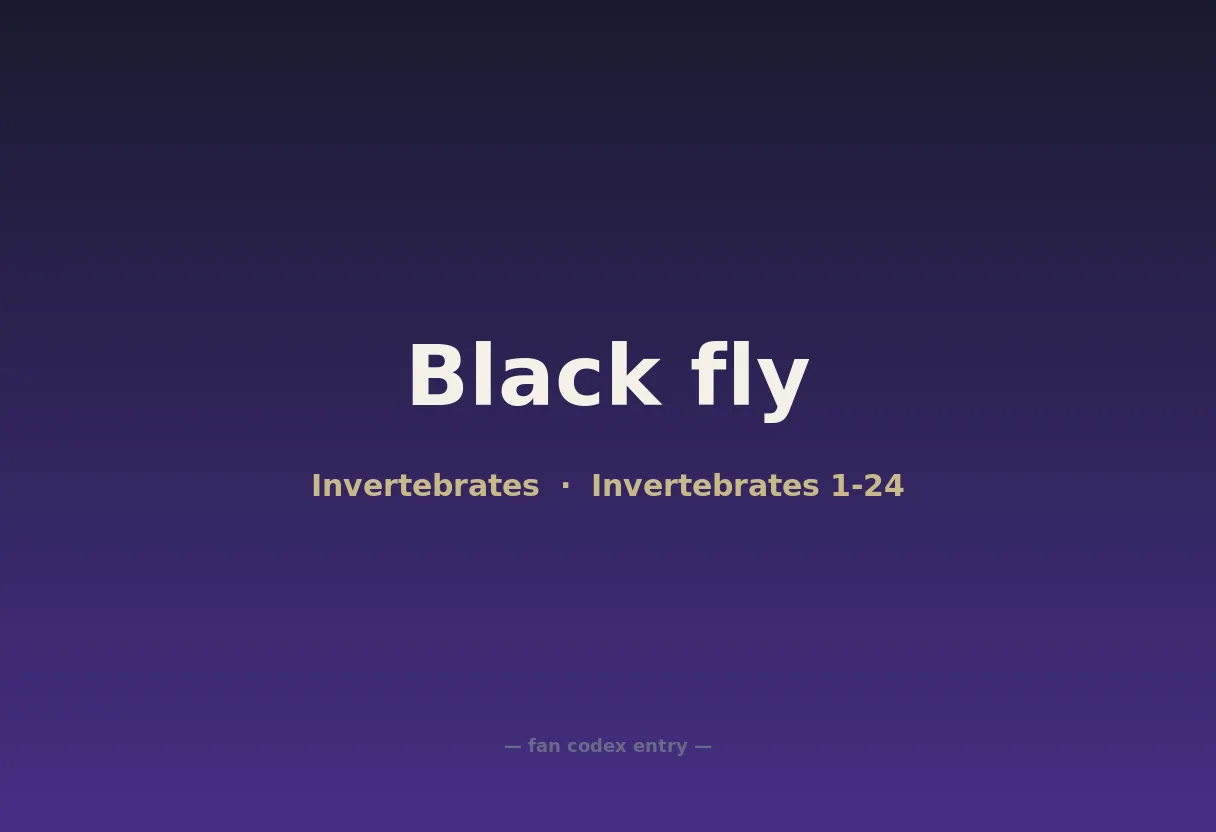 Black fly