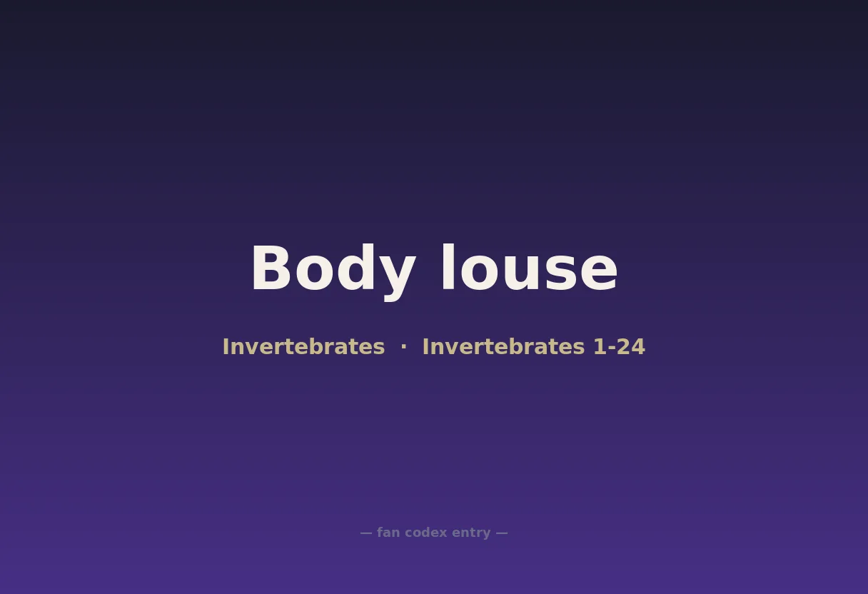 Body louse
