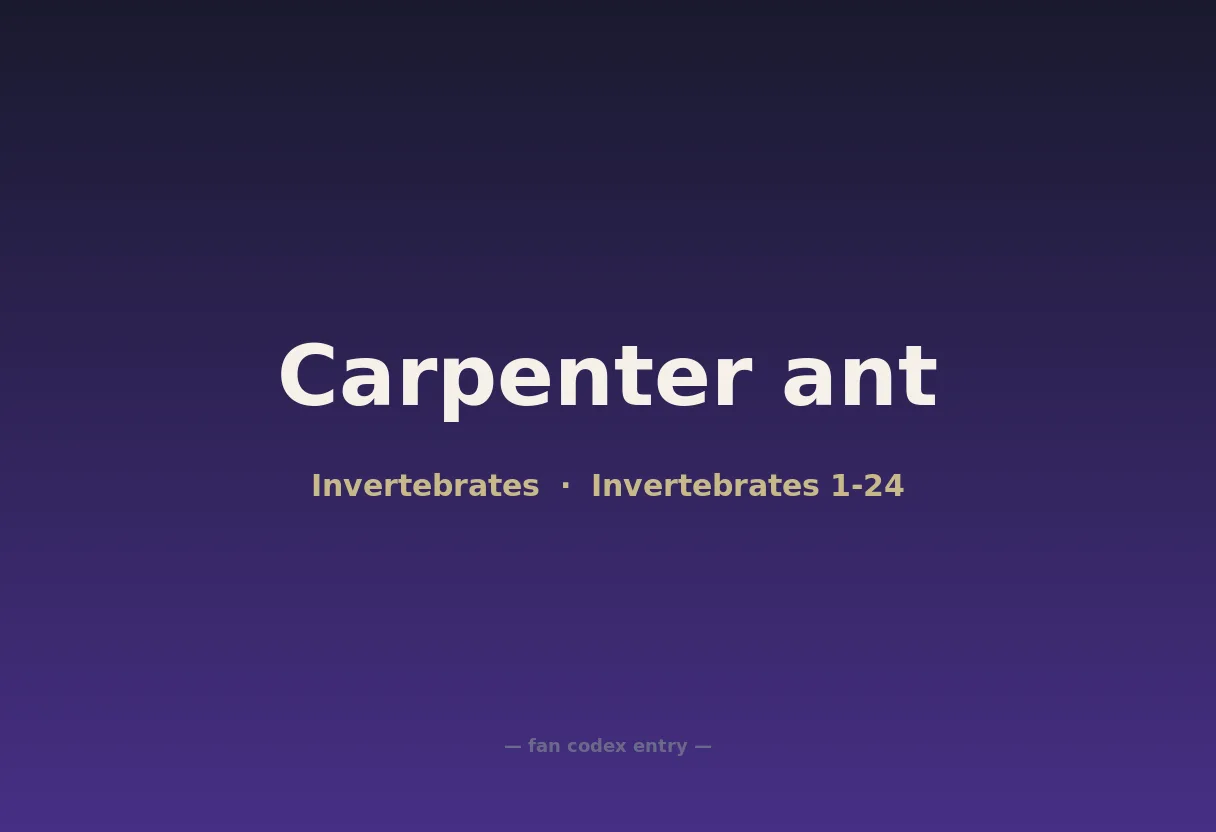 Carpenter ant