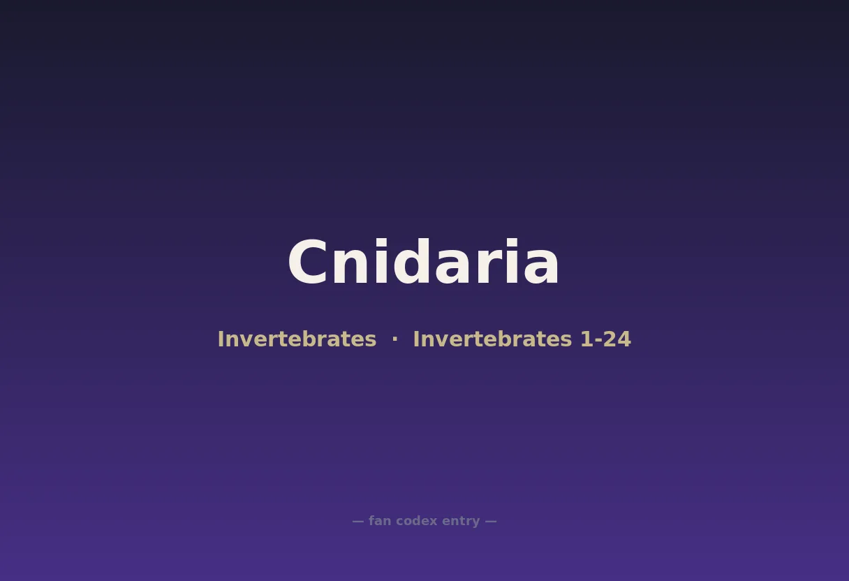 Cnidaria