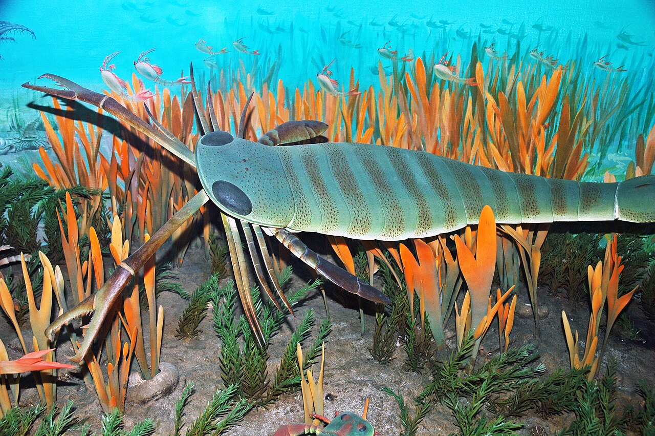Eurypterid