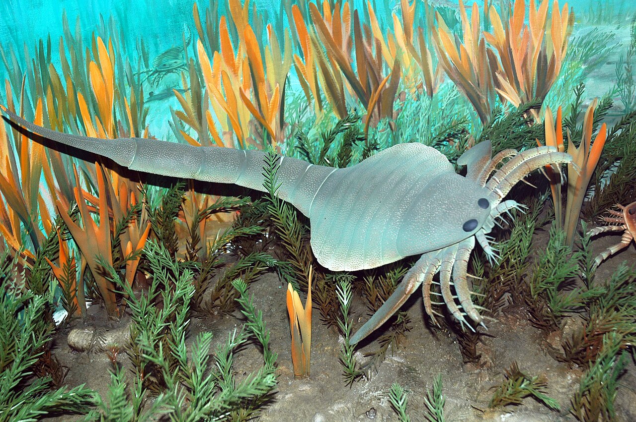 Eurypterid