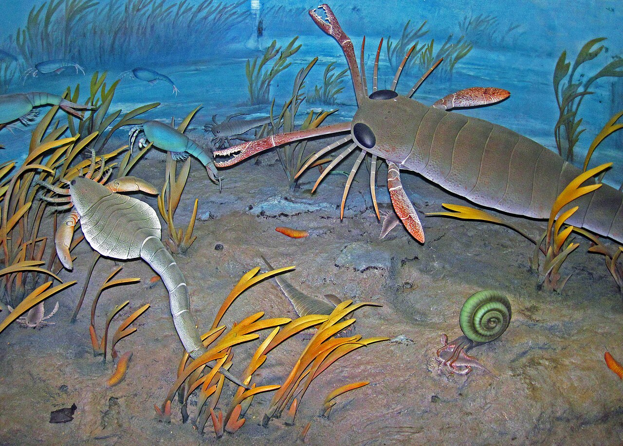 Eurypterid