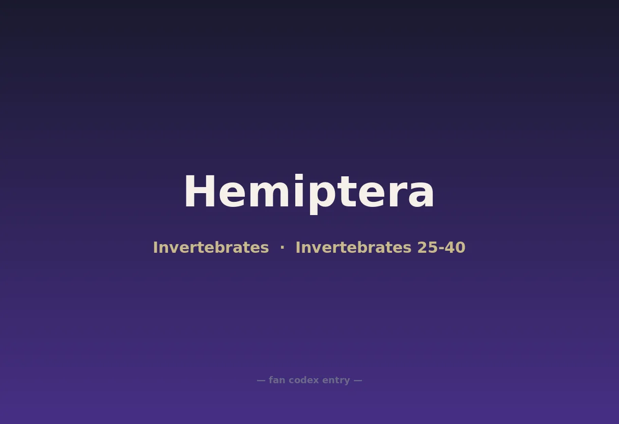 Hemiptera