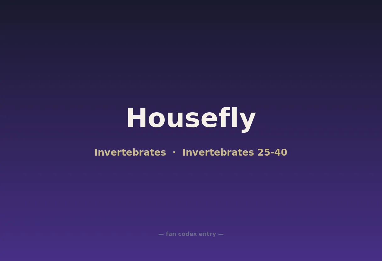 Housefly