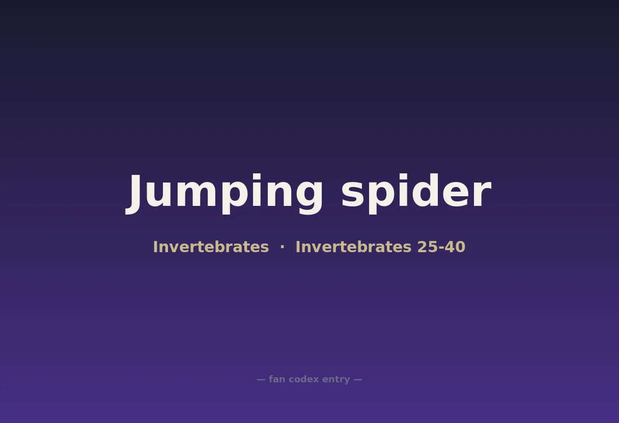 Jumping spider