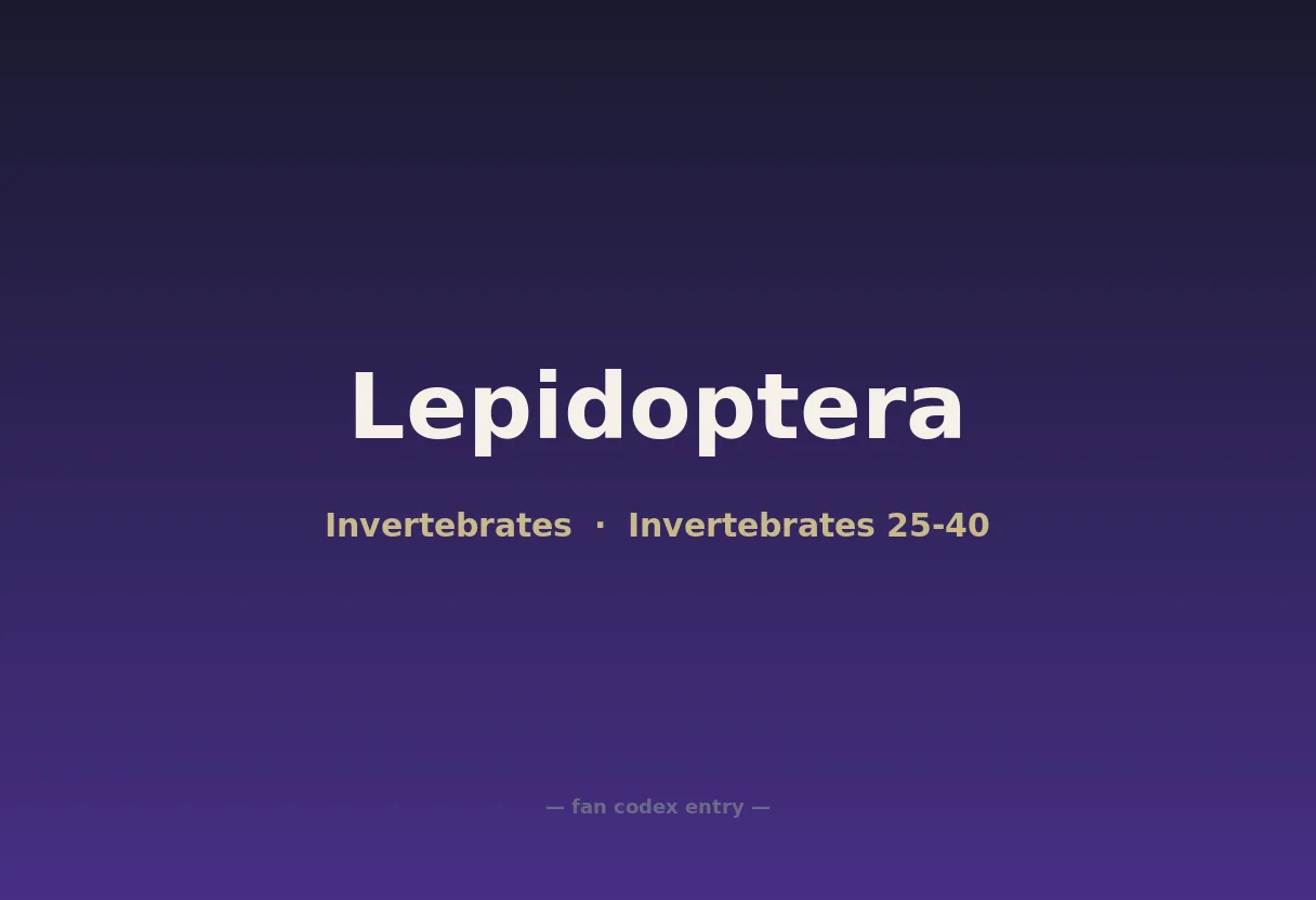 Lepidoptera